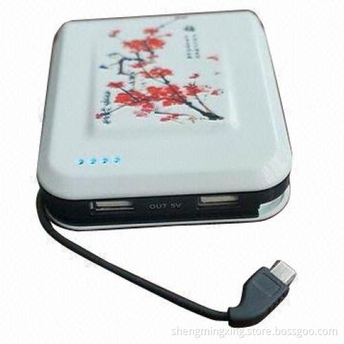 7800mAh Mobile Power Bank with Dual USB Output for iPhone 5
